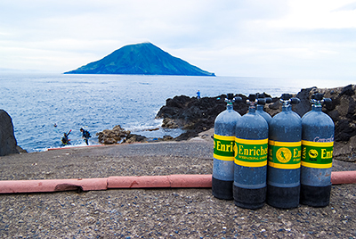 ウララカミノウミウシ